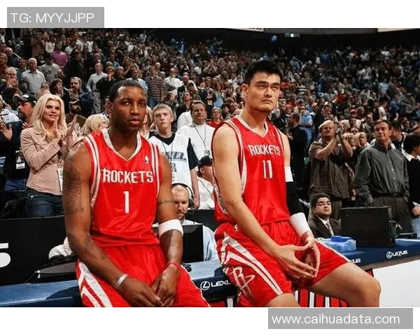 2014年11月火箭与小牛激战回顾：一场精彩的西部对决与篮球魅力的碰撞