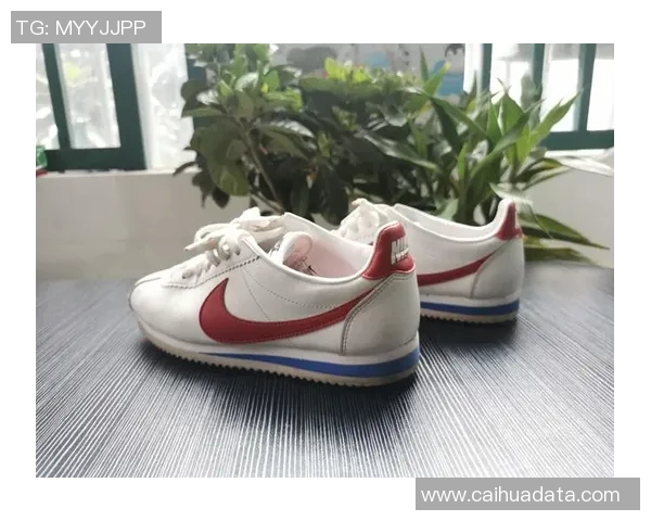 中国明星队与耐克的巅峰对决展现体育精神与品牌魅力的完美结合 中国明星队与耐克的巅峰对决展现体育精神与品牌魅力的完美结合