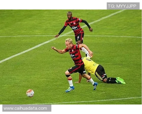 中央海岸与惠灵顿对决结果揭晓赛季精彩瞬间回顾 中央海岸与惠灵顿对决结果揭晓赛季精彩瞬间回顾