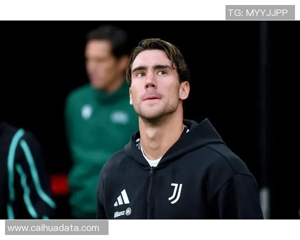 弗拉霍维奇：从天才前锋到足球巨星的成长之路与未来展望