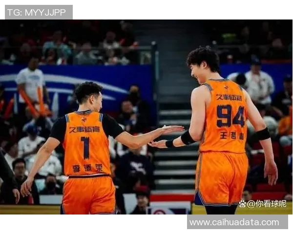 杭州排球队的战术变革与球员成长深度解析