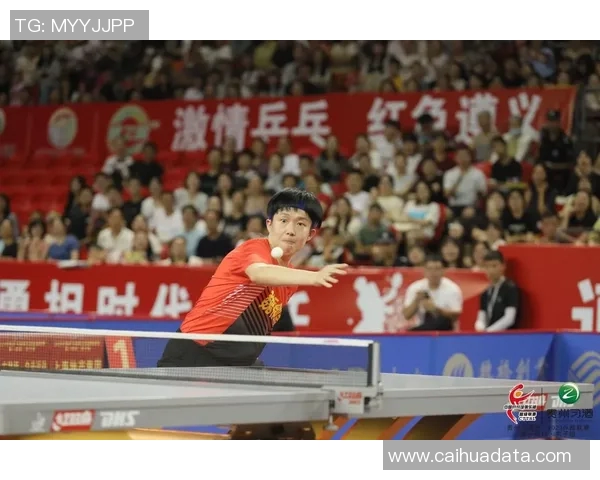 杨伟专访揭秘乒乓球成功秘诀与未来发展方向分析 杨伟专访揭秘乒乓球成功秘诀与未来发展方向分析