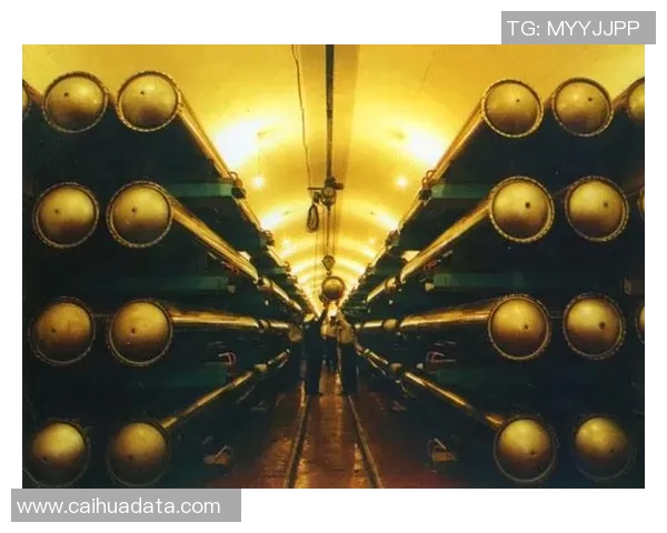 上海极限运动队的表现分析与控制策略的得失探讨